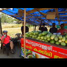 Wir lassen uns den Saft einer Melonenart schmecken